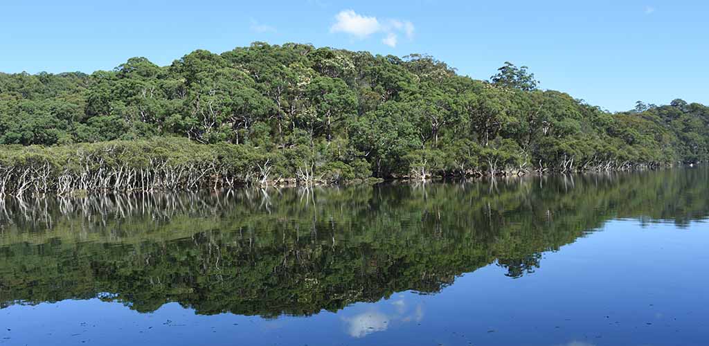 reflections of Davidson Park in Sydney's Northern Beach