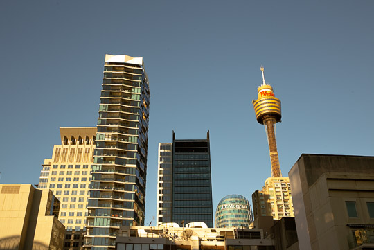 View of Sydney City from the top of Old Mates Place Sydney