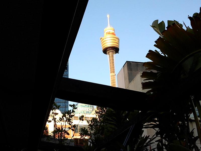 Showing the view of Sydney's centerpoint tower from Old Mates Place rooftop bar